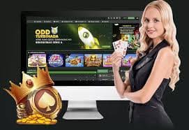 6v666 login